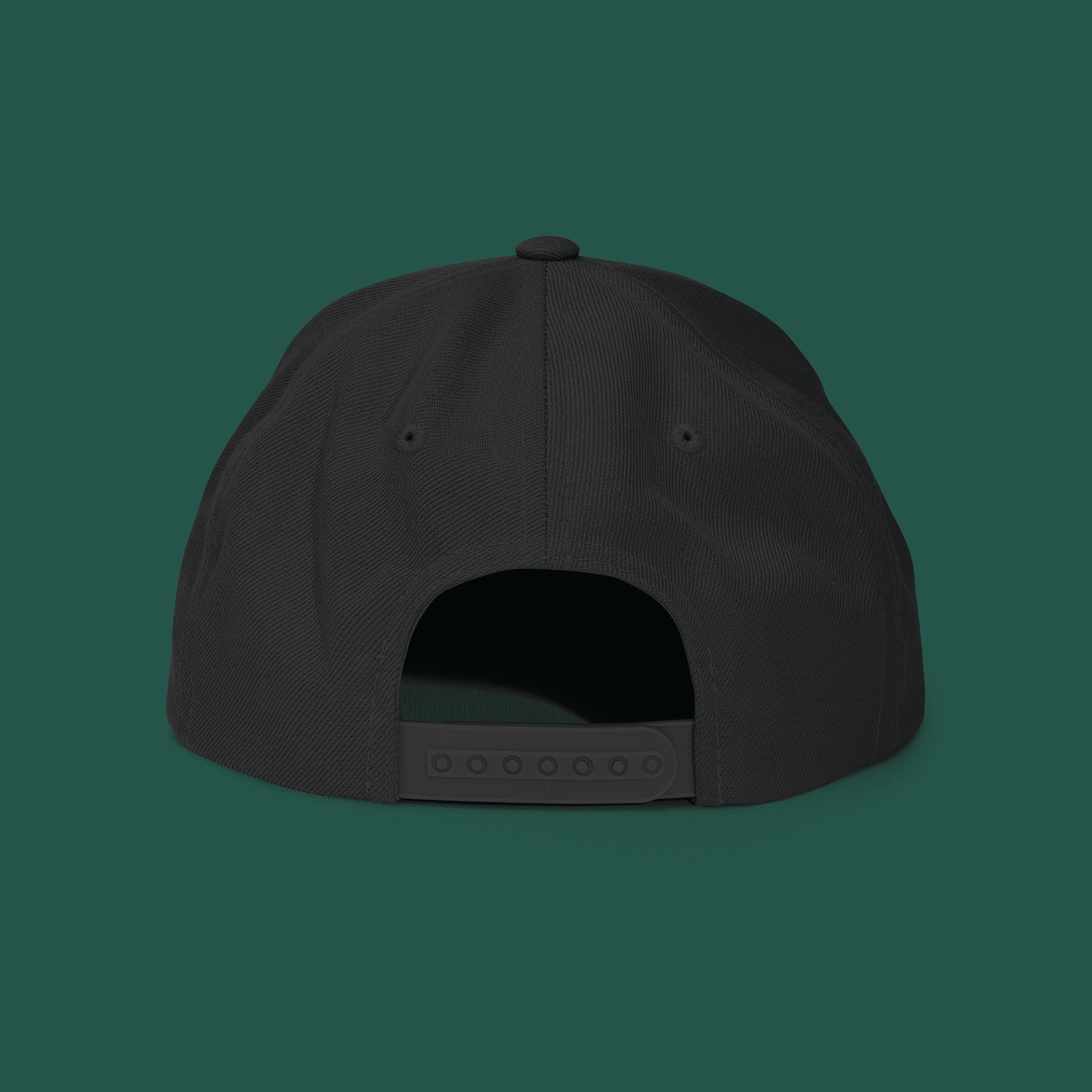 Hat, Snapback – Summit Alumni – Side S Edition