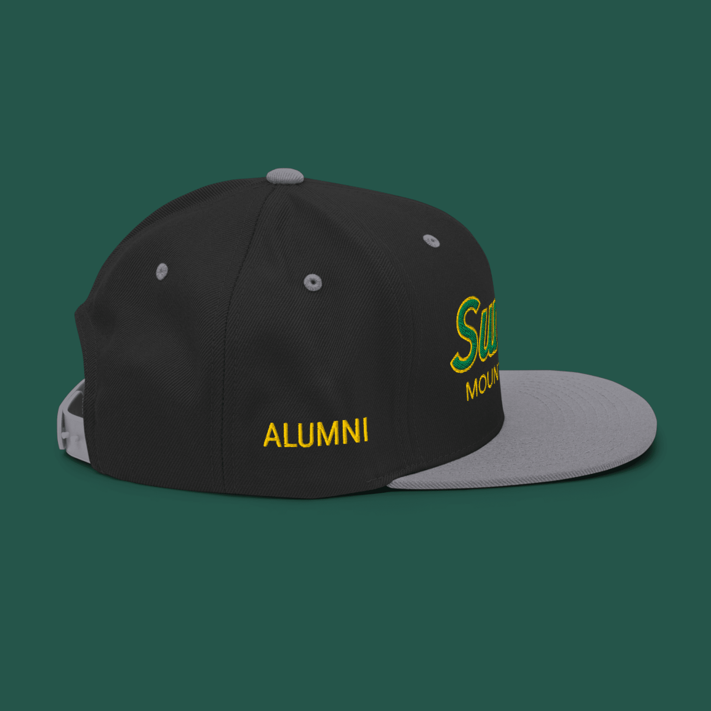 Hat, Snapback – Summit Mountaineers