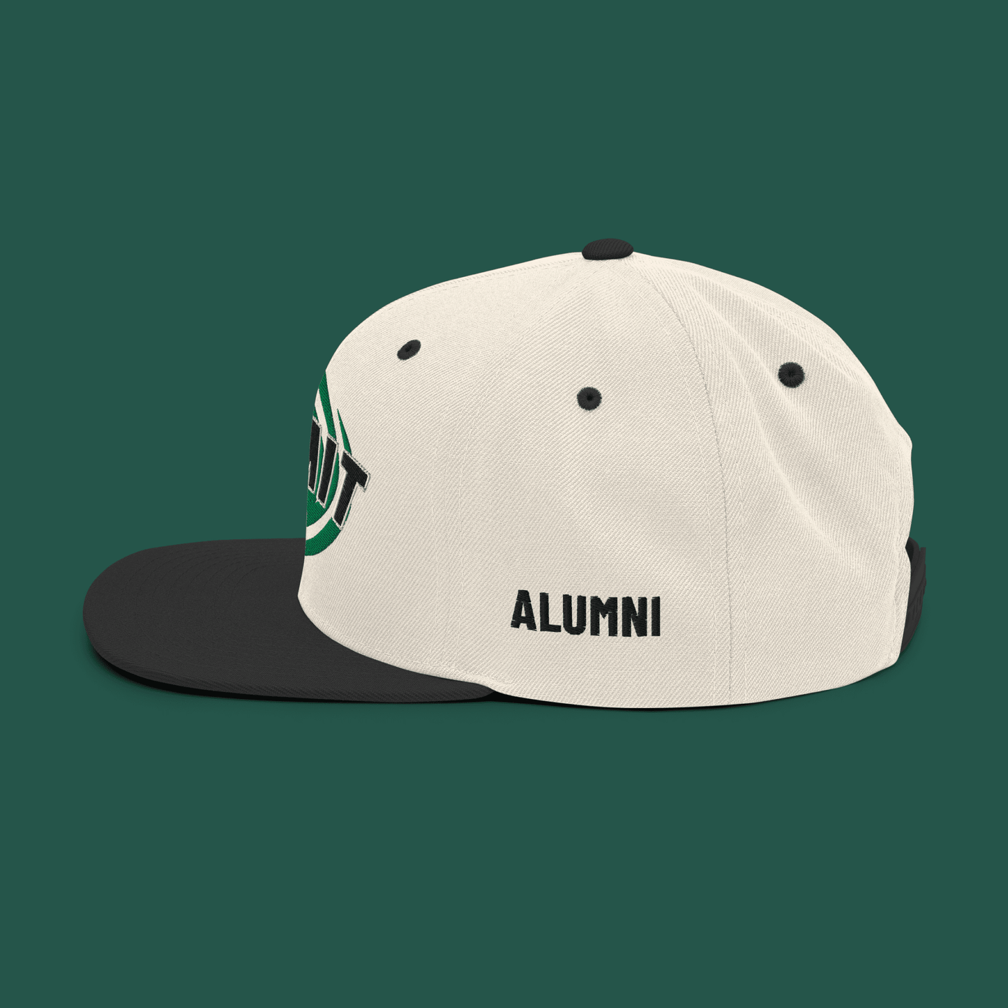 Hat, Snapback – Summit Swirl, Alumni